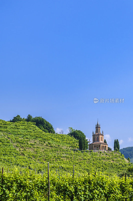 Prosecco Hills of Conegliano and valdovadene(意大利威尼托)